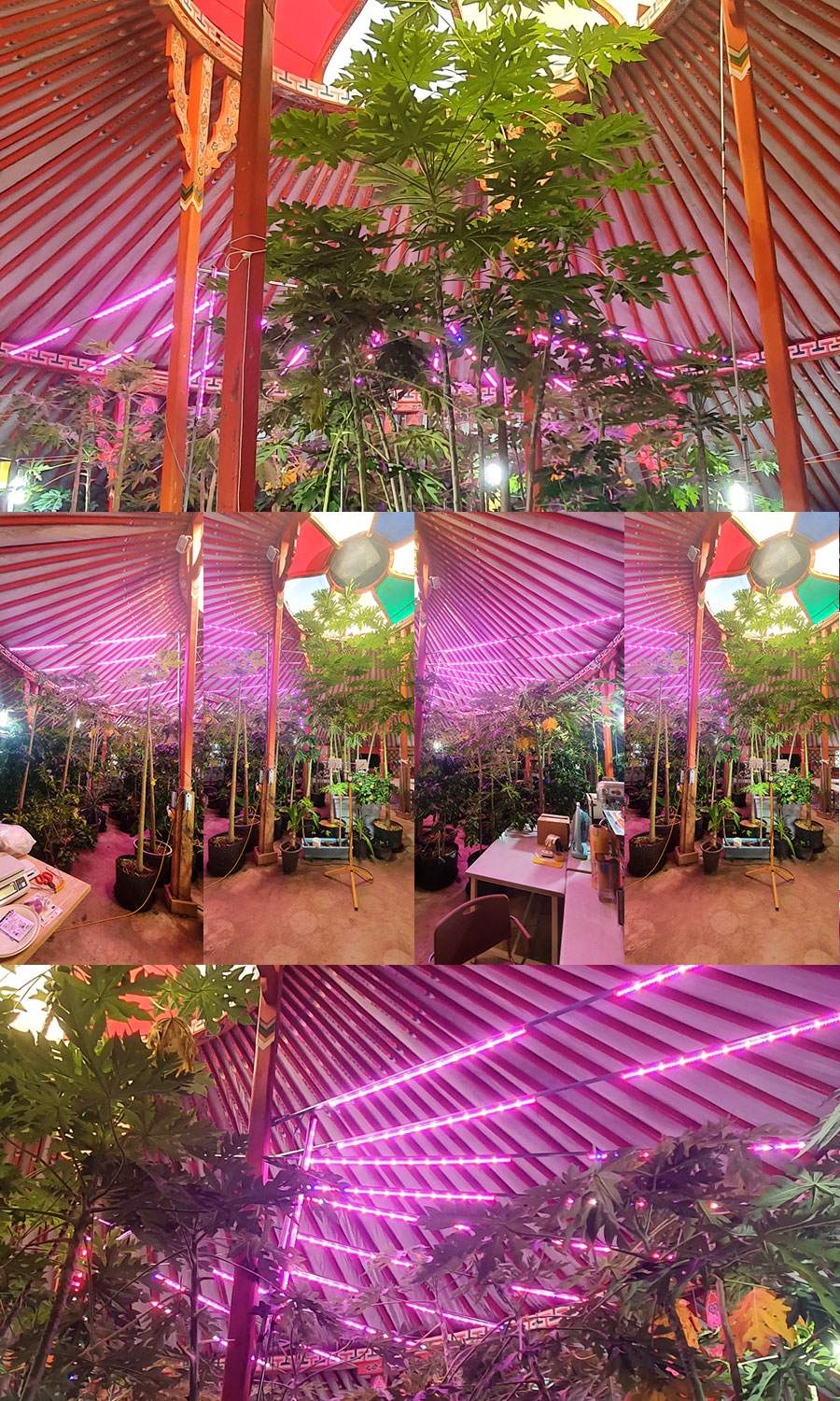 제로조명 LED 식물성장용 설치사례